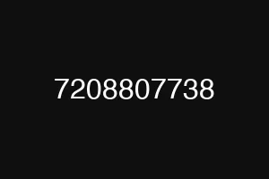 7208807738