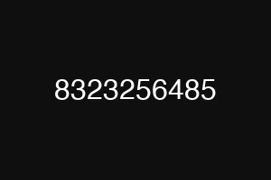 8323256485