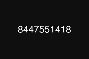 8447551418