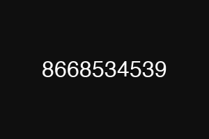 8668534539