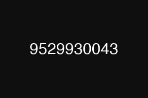 9529930043