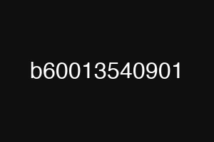 b60013540901