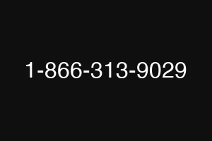 1-866-313-9029