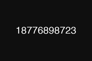 18776898723