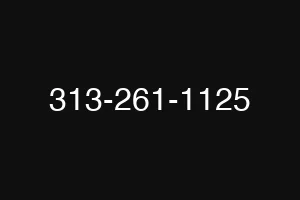 313-261-1125