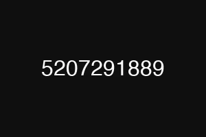 5207291889