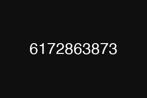 6172863873