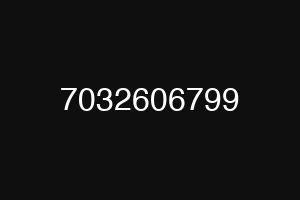 7032606799