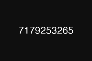 7179253265