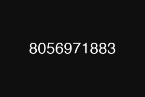 8056971883