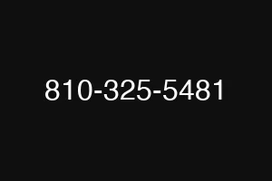 810-325-5481