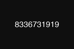 8336731919