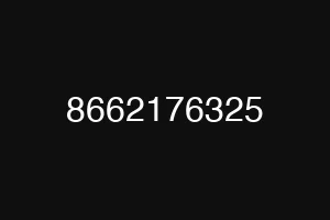 8662176325