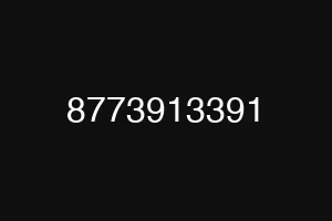 8773913391