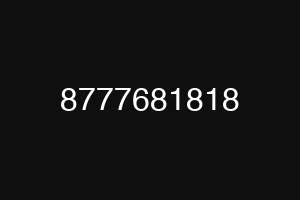 8777681818