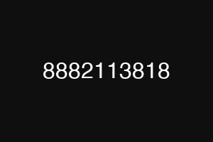8882113818