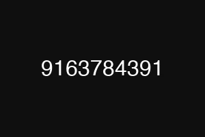 9163784391