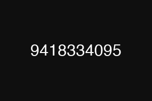 9418334095
