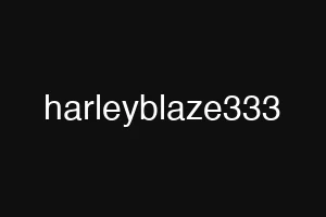 harleyblaze333